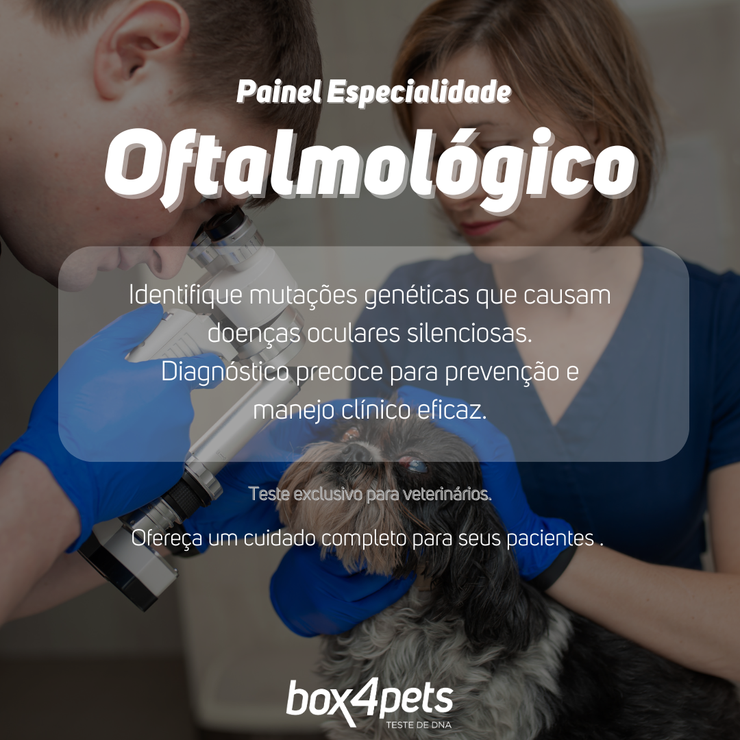 Painel Especialidade: Como a Oftalmologia Ganha Importância na Saúde Canina